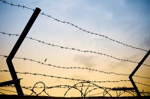 Barbed wire fencing
