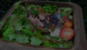 Domestic food waste bin