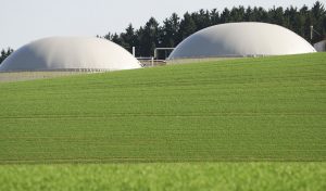 Industrial food storage units