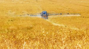 Agricultural harvesting