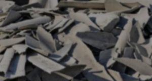 Asbestos Site service