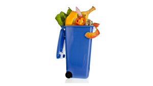Waste Food bin