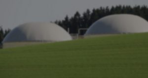 Industrial Food storage units