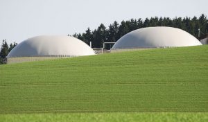 Food Storage