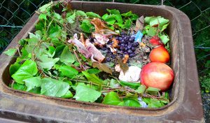 Domestic Food waste