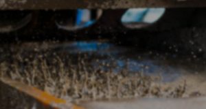 Soil Treatment