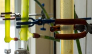 Waste oil lab testing