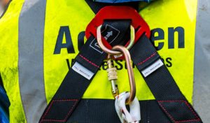 Safety harness