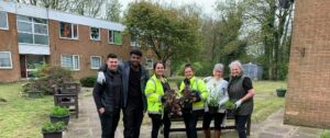garden clean-up