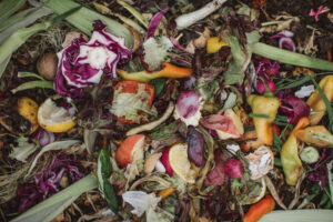 food regulation changes