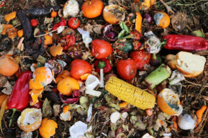 food regulation changes